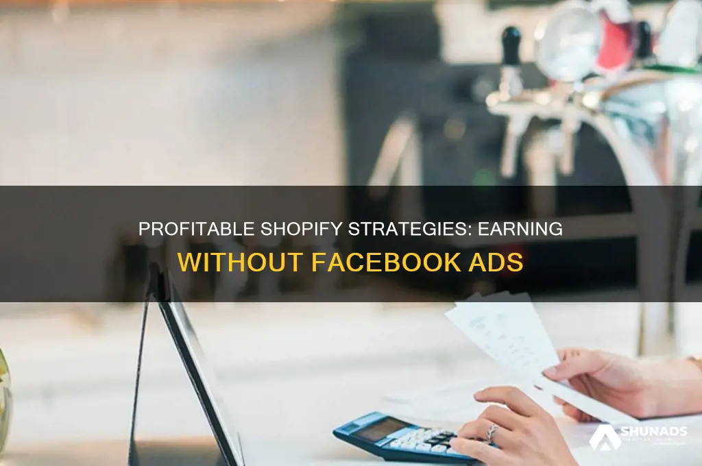 how to make money on shopify without facebook advertisement