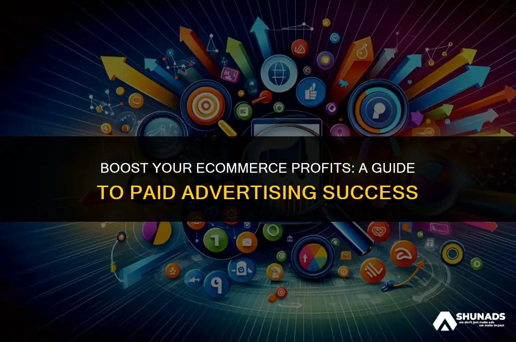 how to make money with ecommerce sites and paid advertising