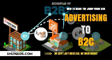 Bridging the Gap: Transitioning from B2B Advertising to B2C Success