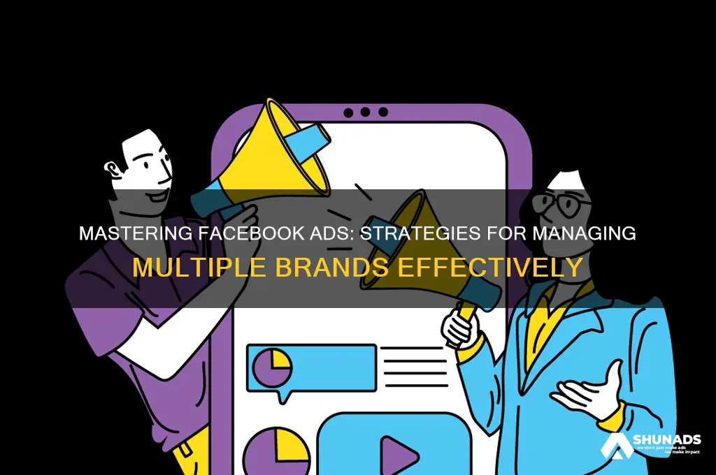 how to manage multiple brands on facebook advertising