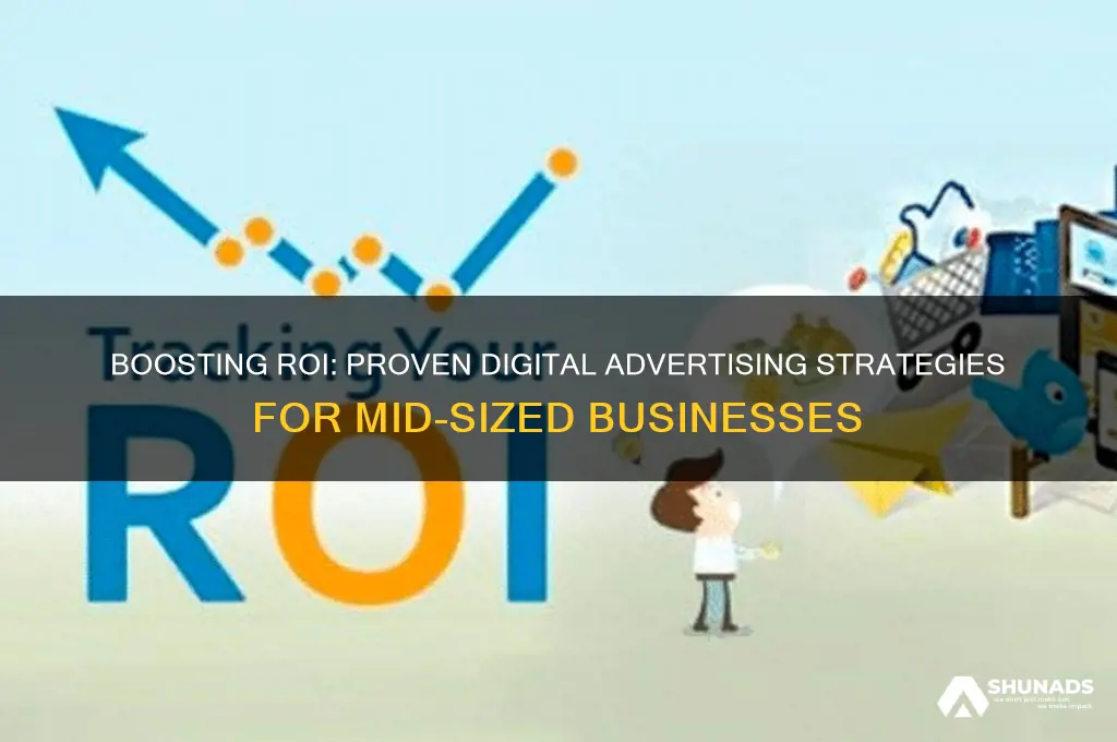 how to maximize roi in digital advertising for mid-sized companies