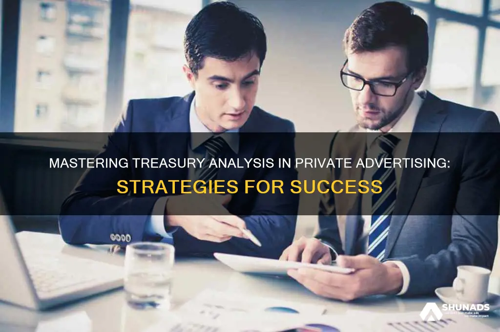 how to perform as a treasury analyst private advertising company