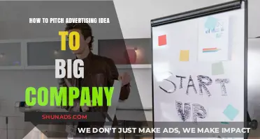 Mastering the Art of Pitching Advertising Ideas to Big Companies