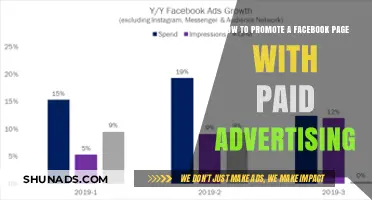 Boost Your Facebook Page: Effective Paid Advertising Strategies for Growth