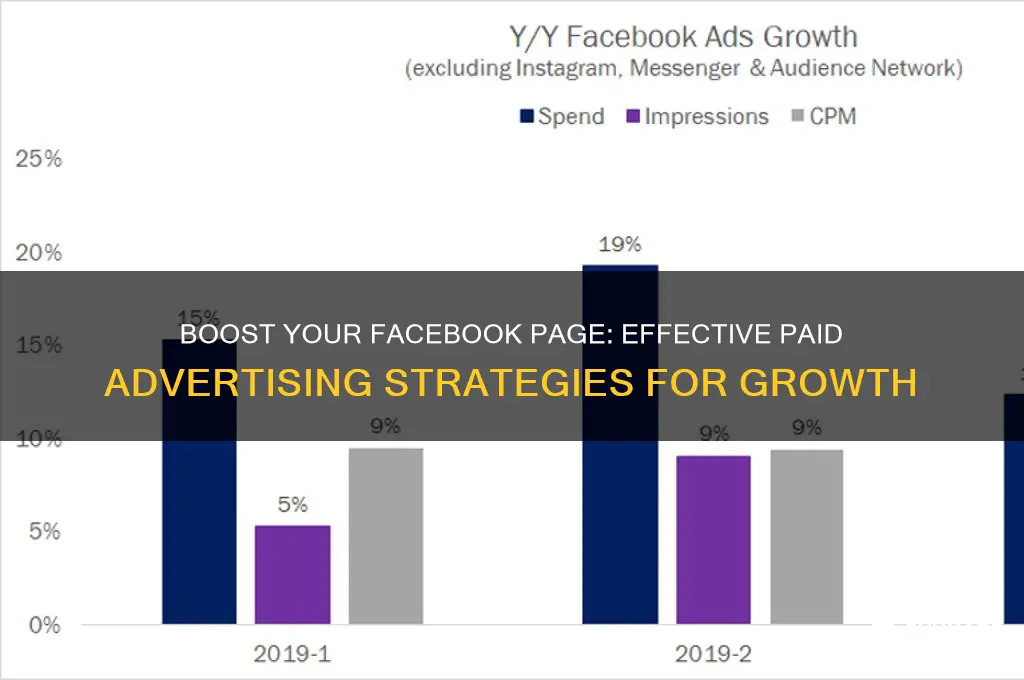 how to promote a facebook page with paid advertising