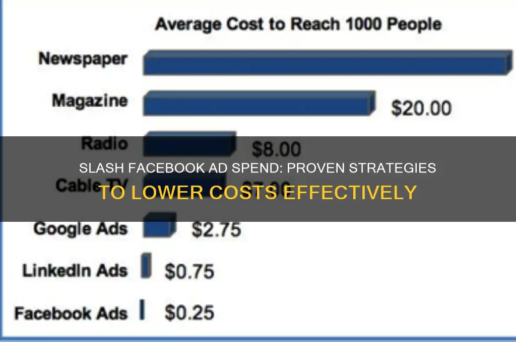 how to reduce facebook advertising costs