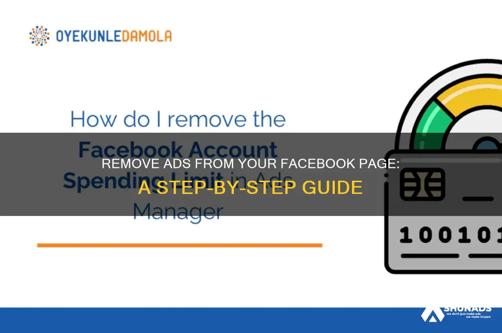 how to remove advertisers from my facebook page