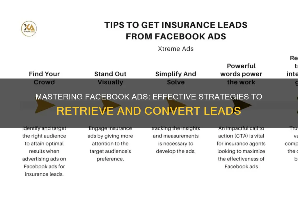 how to retrieve facebook advertisement leads