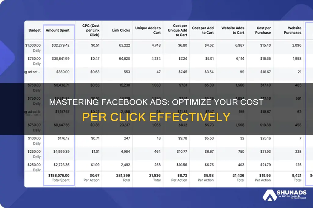 how to set facebook advertising cost per click