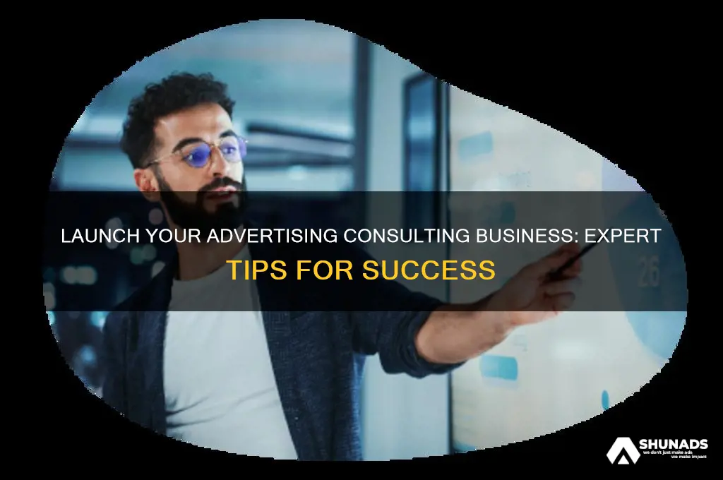 how to start an advertising consulting business