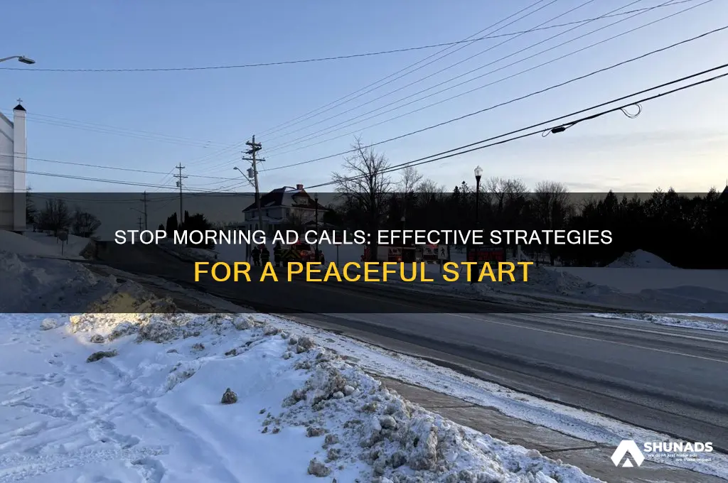 how to stop getting advertisements phone calls in the morning