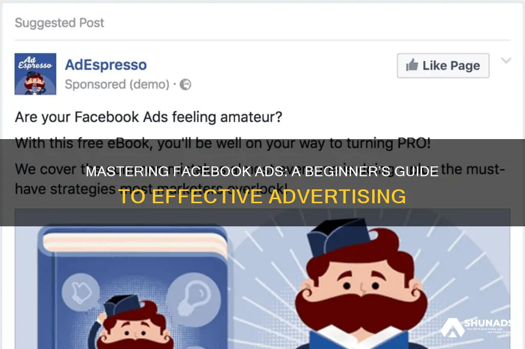 how to understand facebook advertising