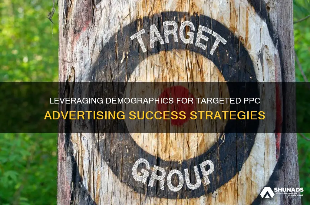 how to use demographics in ppc advertising