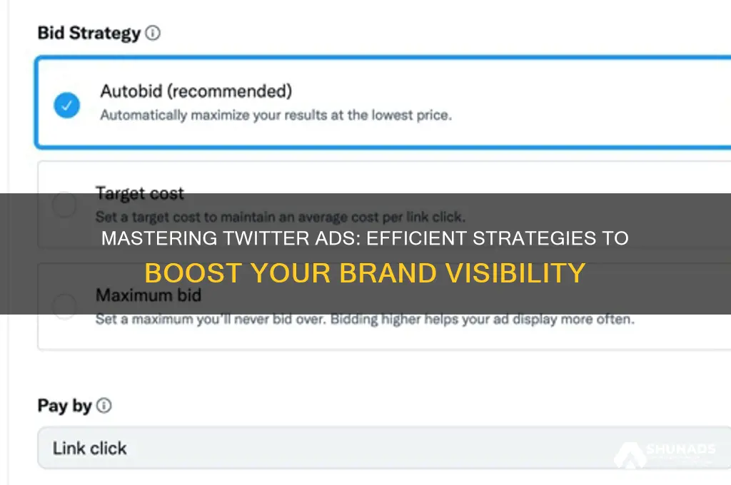 how to use efficiently tweeter to advertise