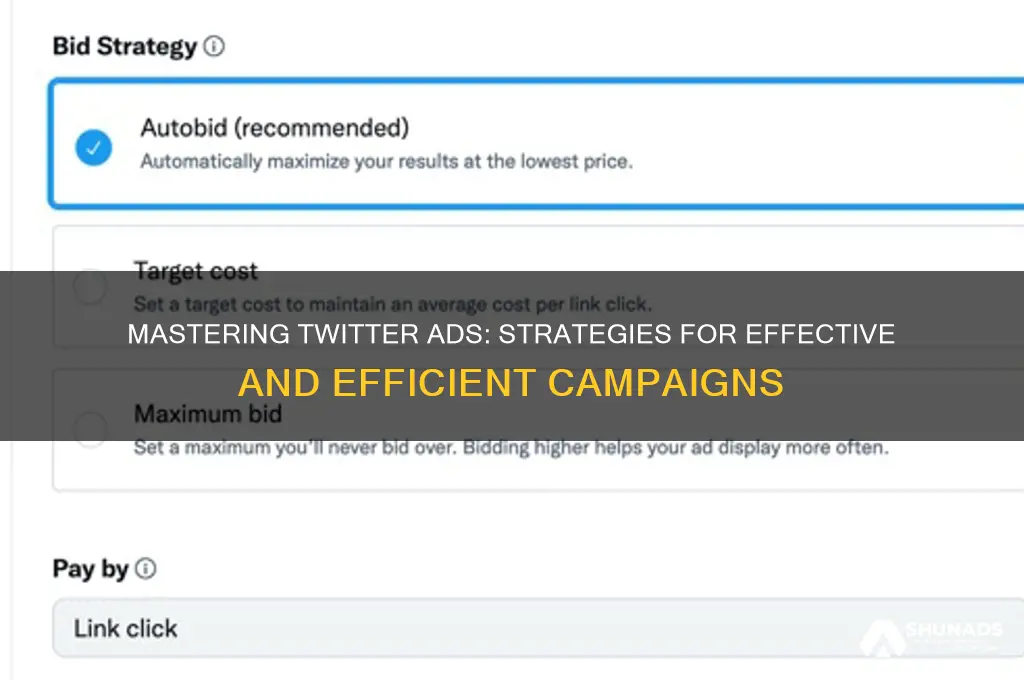 how to use efficiently twitter to advertise