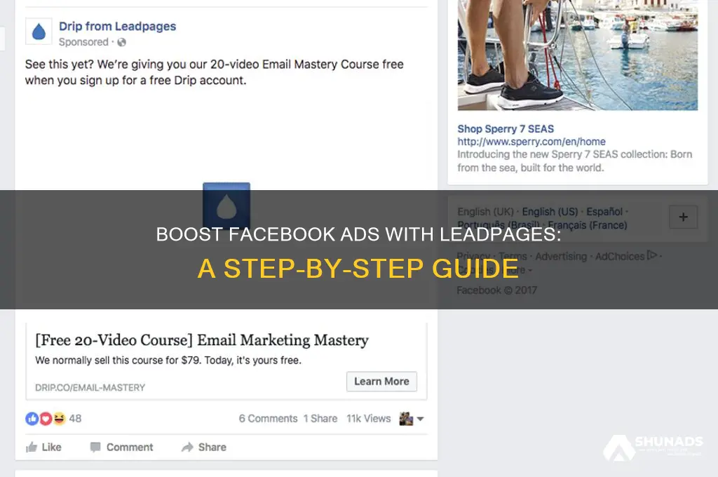 how to use leadpages on facebook advertising