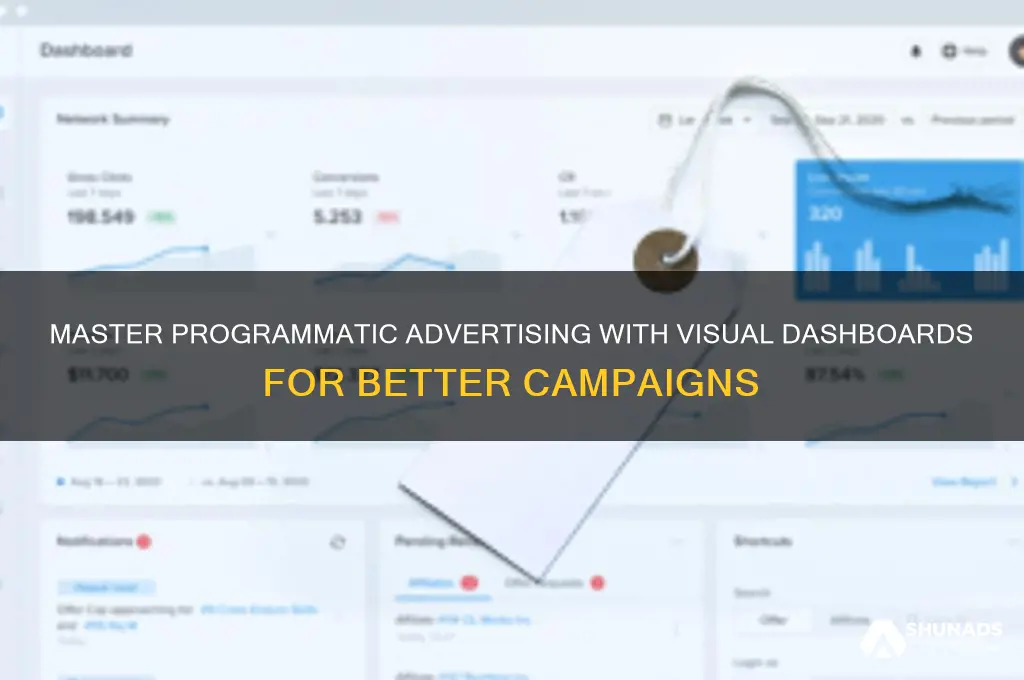 how to use programmatic advertising from visual dashboards