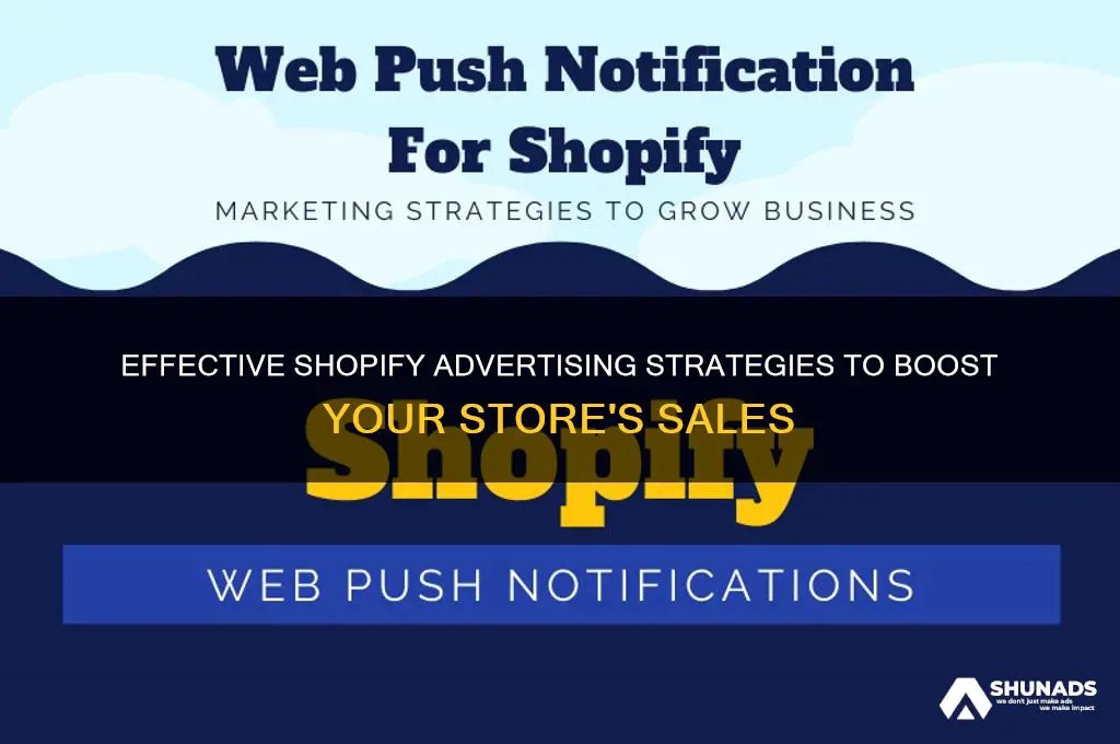how to use shopifybto advertise gor my store