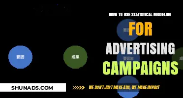 Statistical Modeling Strategies to Optimize Advertising Campaign Performance