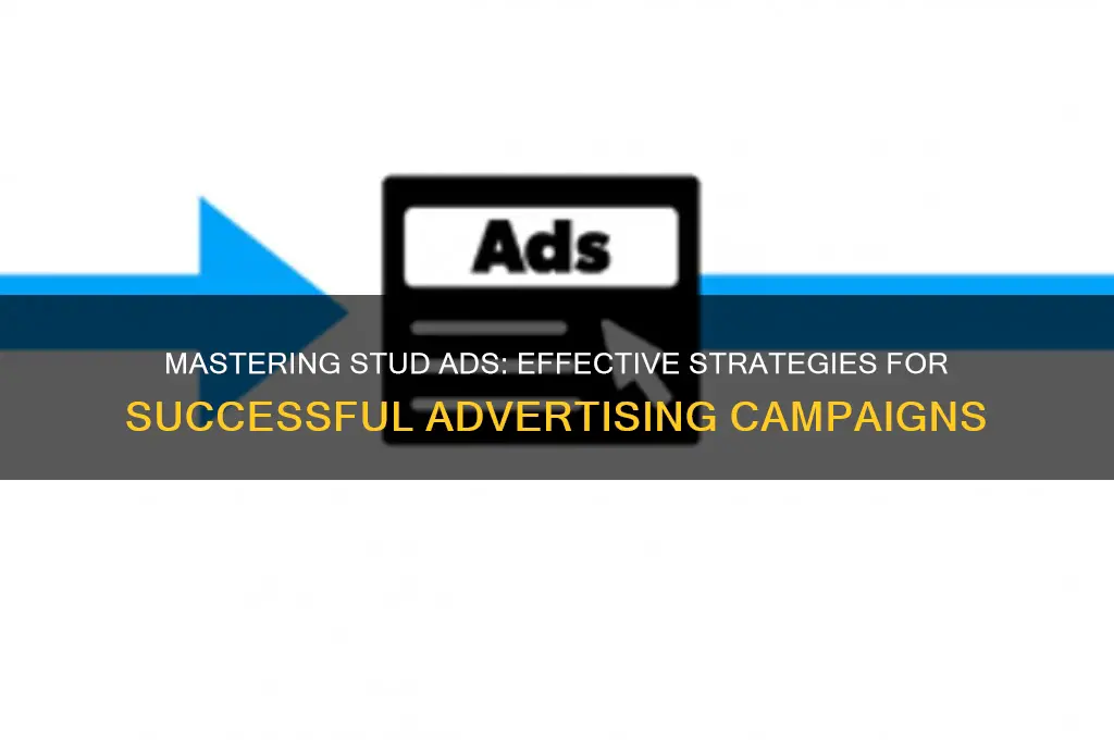 how to use stud ads to advertise