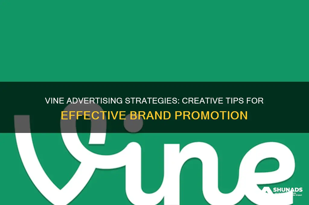 how to use vine for advertising