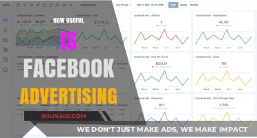 Maximizing ROI: The Real Value of Facebook Advertising Explained