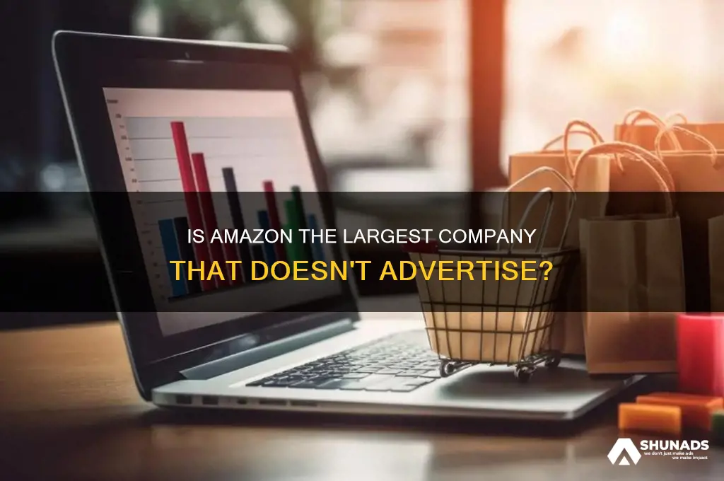 is amazon the largest company that doesnt advertise