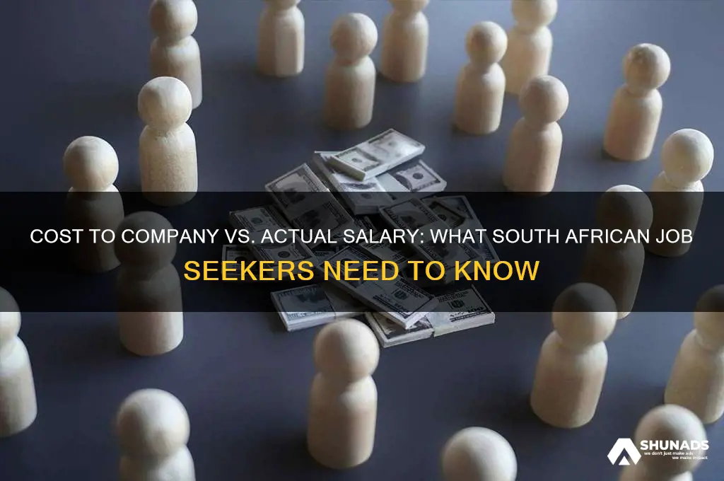 is cost to company advertised or actual salary south africa