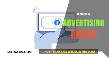 Is Facebook Advertising Affordable? Cost Analysis for Small Businesses