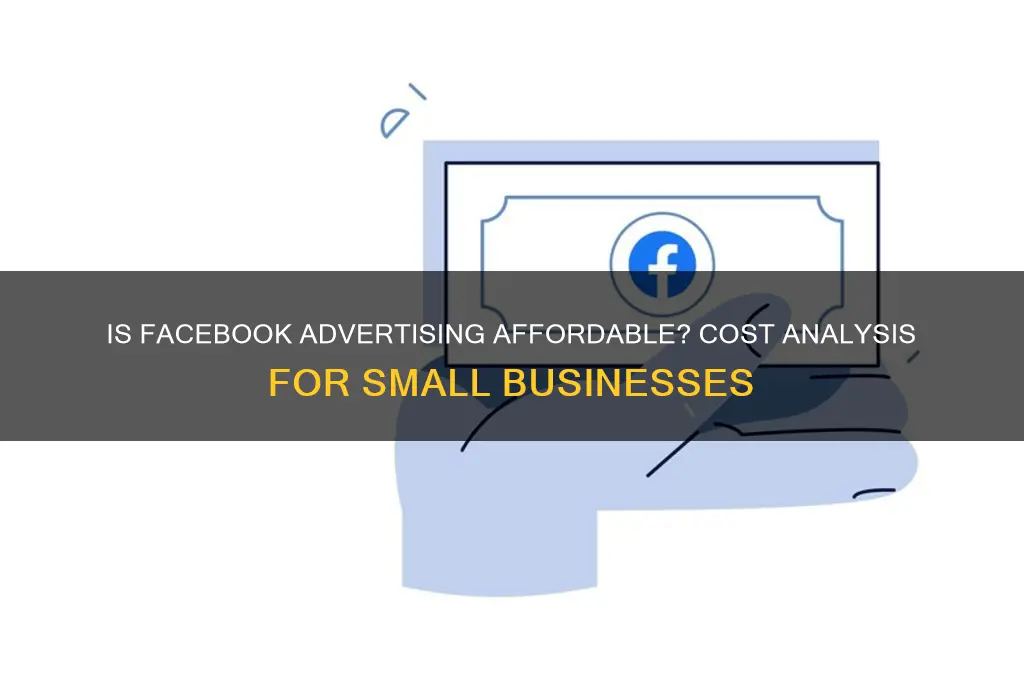 is facebook advertising cheap
