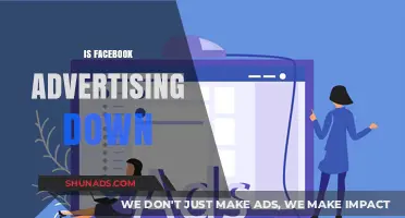 Is Facebook Advertising Down? Analyzing Recent Trends and Performance Issues
