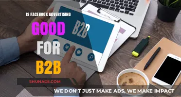 Is Facebook Advertising Effective for B2B Marketing Strategies?