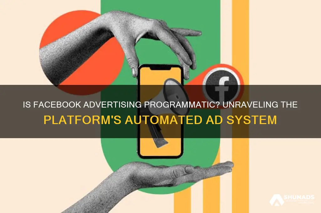 is facebook advertising programmatic