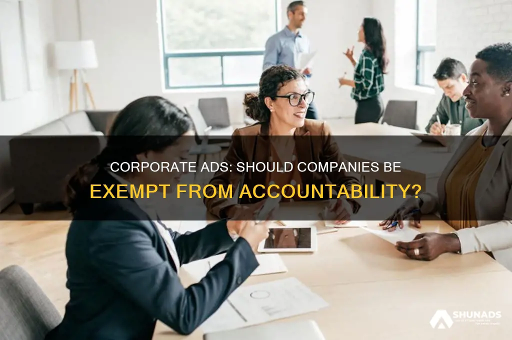 should companies hold no responsibilities for their advertisements