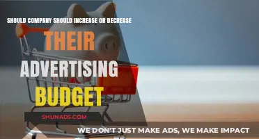 Balancing Act: Should Companies Adjust Their Advertising Budget?