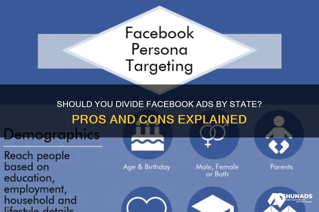 should i divide my facebook advertising ads by state