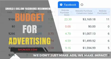 Should You Trust Facebook's Recommended Ad Budget? Pros and Cons