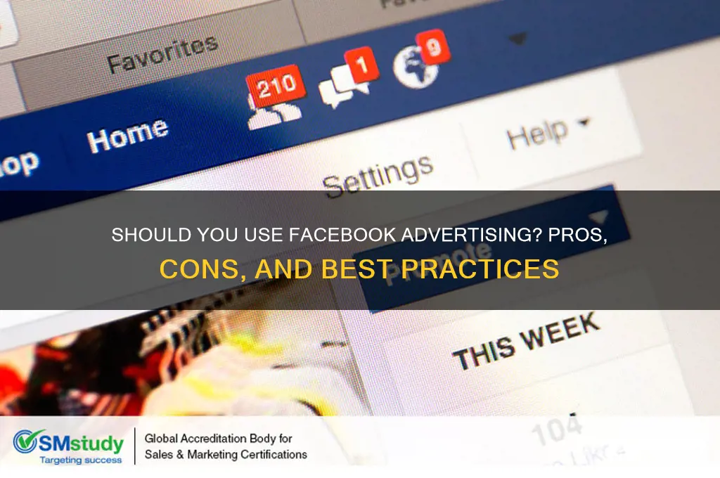 should i use facebook advertising