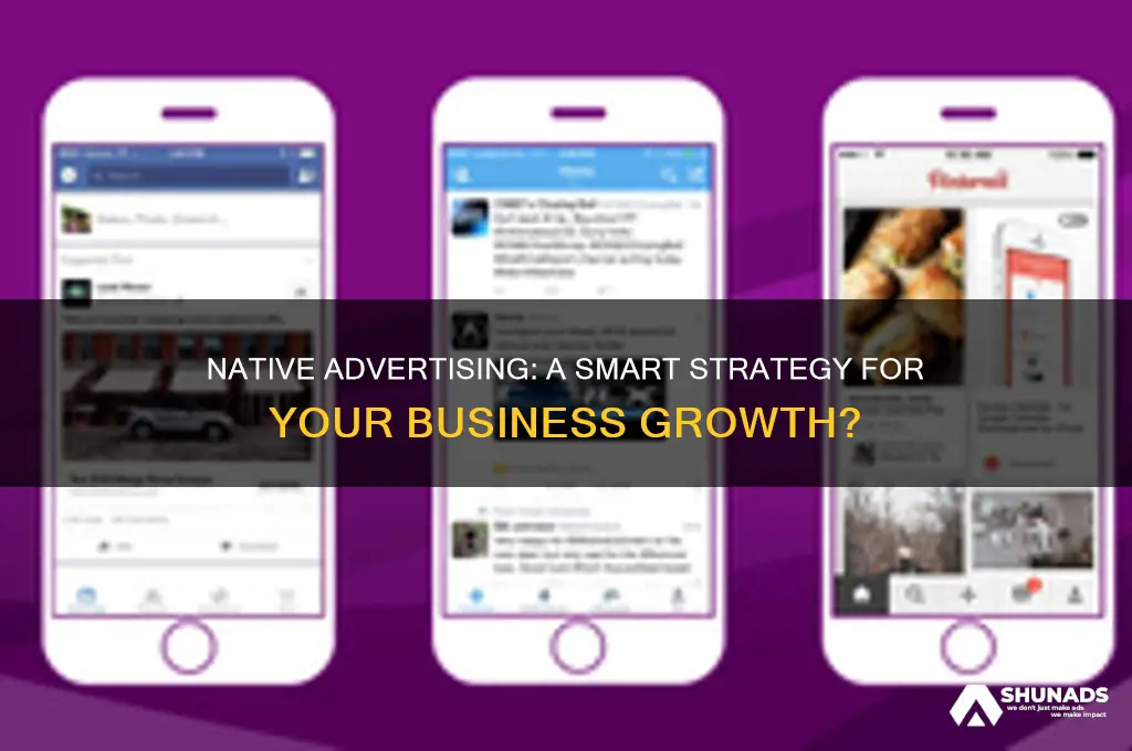 should i use native advertising for my business
