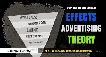How Hierarchy of Effects Theory Shapes Effective Advertising Campaigns