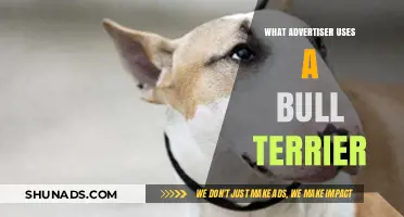 Bull Terrier in Ads: The Iconic Breed's Role in Advertising