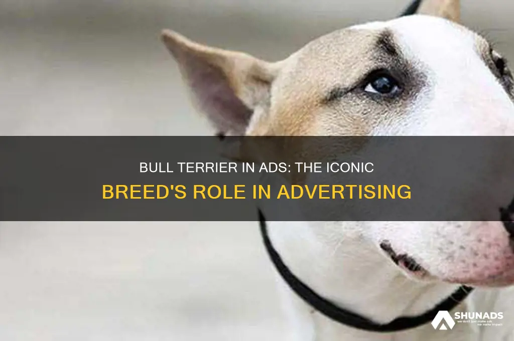 what advertiser uses a bull terrier
