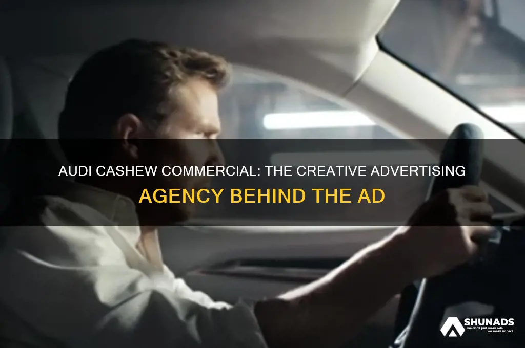 what advertising company came up with the audi cashew commercial