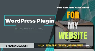 Best Advertising Plugins to Monetize Your Website Effectively