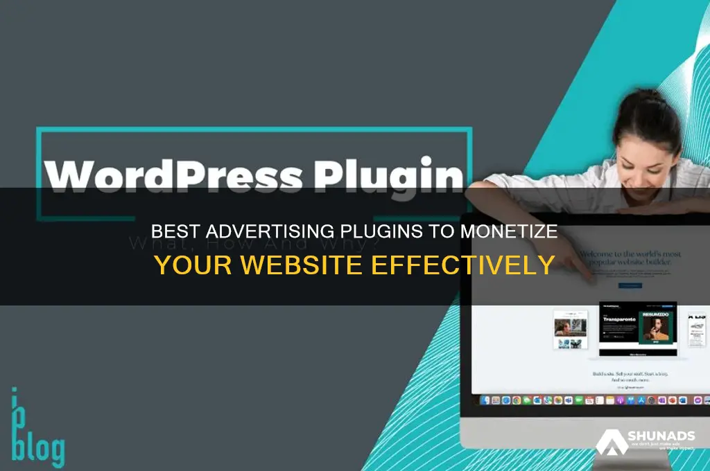 what advertising plugin doi use for my website