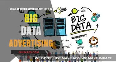 Exploring Big Data Advertising: Key Analysis Methods for Success