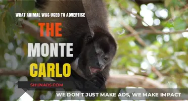 Monte Carlo's Iconic Ad: The Animal Behind the Brand's Success