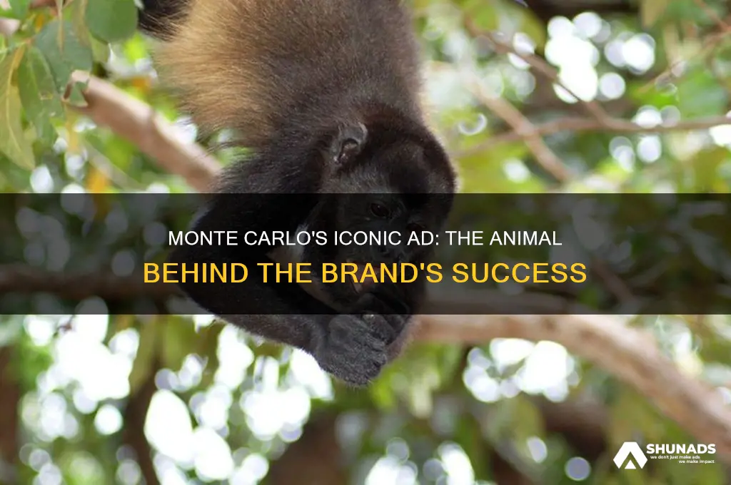 what animal was used to advertise the monte carlo