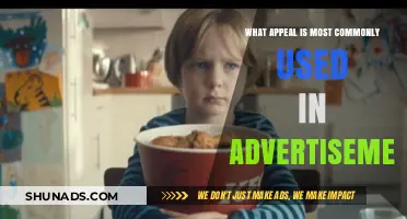 Unveiling the Power of Emotional Appeal in Modern Advertising Strategies