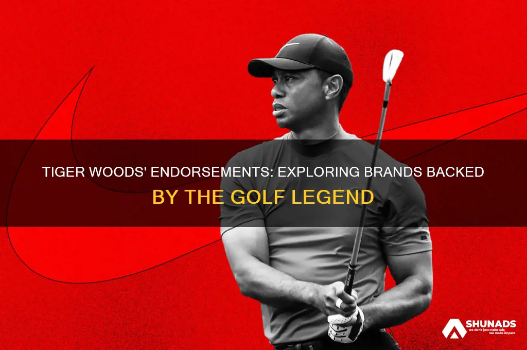 what are companies tiger woods advertises about